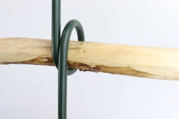 Bischofstab Knoten Höhe 170 cm, 3x Knoten Farbe dunkelgrün matt 3x Knoten, 3fach Fuss pulververzinkt/pulverbeschichtet 